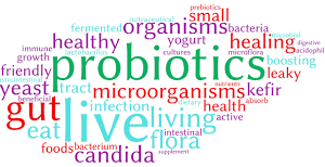 تفاوت بین prebiotics ها و پروبیوتیک ها چیست؟